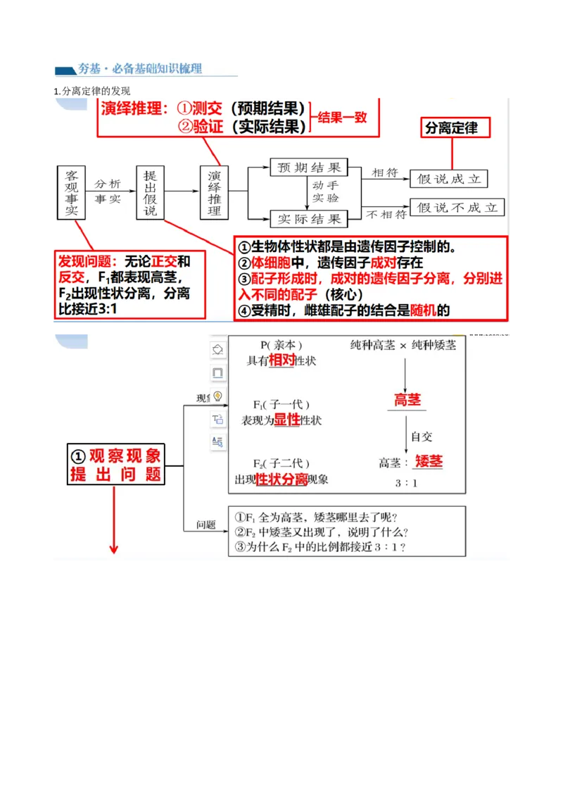 第16讲基因的分离定律（讲义）（教师版）_2024年新高考资料_1.2024一轮复习_2024年高考生物一轮复习讲练测（新教材新高考）
