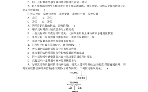 专练66　神经调节的基本方式_新高考复习资料_2023年新高考复习资料_专项复习_2023《微专题&middot;小练习》&middot;生物&middot;新教材&middot;XL-7