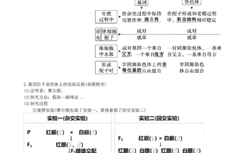 第18讲伴性遗传和人类遗传病（讲义）（教师版）_2024年新高考资料_1.2024一轮复习_2024年高考生物一轮复习讲练测（新教材新高考）