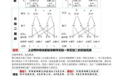 第18讲伴性遗传和人类遗传病（讲义）（教师版）_2024年新高考资料_1.2024一轮复习_2024年高考生物一轮复习讲练测（新教材新高考）