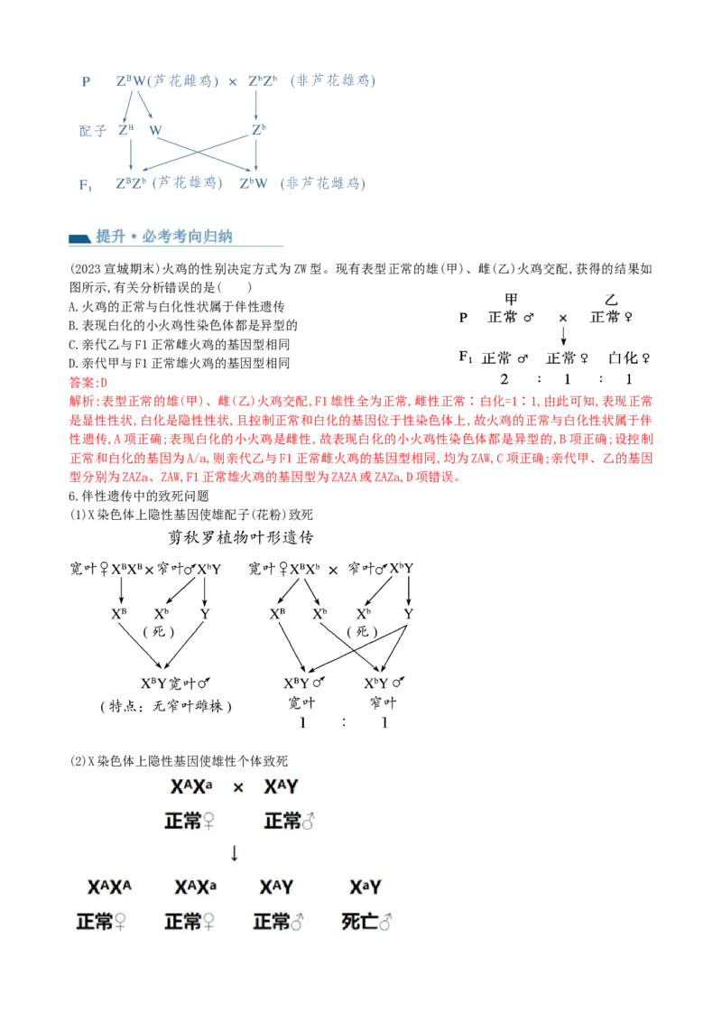 第18讲伴性遗传和人类遗传病（讲义）（教师版）_2024年新高考资料_1.2024一轮复习_2024年高考生物一轮复习讲练测（新教材新高考）