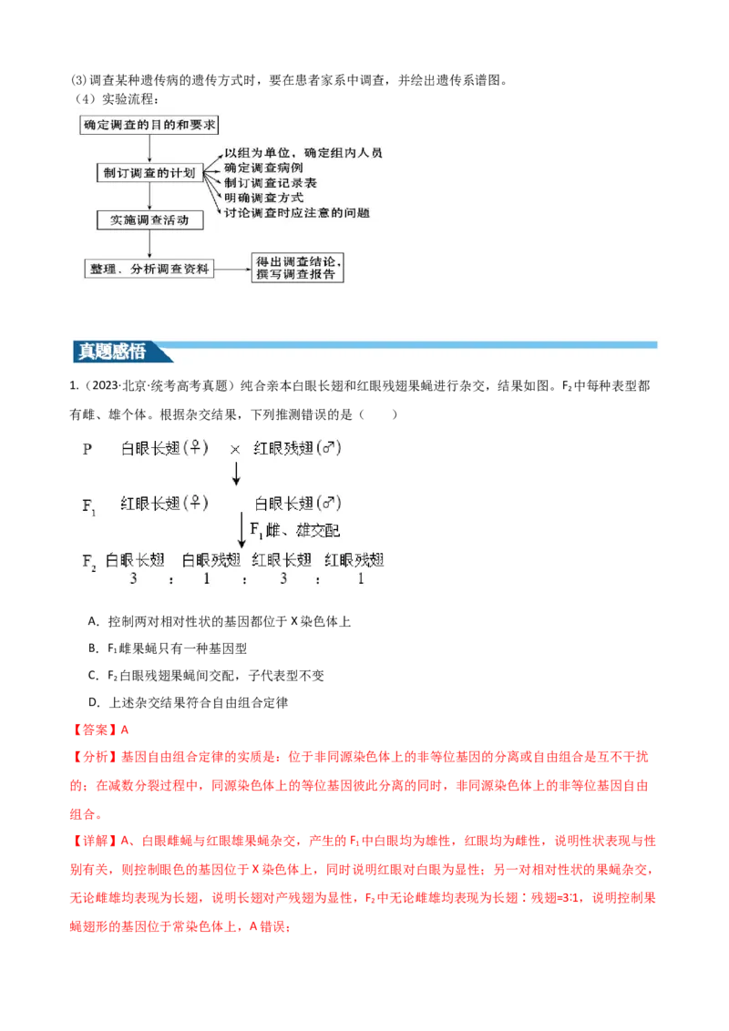 第18讲伴性遗传和人类遗传病（讲义）（教师版）_2024年新高考资料_1.2024一轮复习_2024年高考生物一轮复习讲练测（新教材新高考）