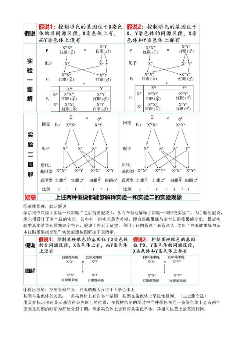 第18讲伴性遗传和人类遗传病（讲义）（教师版）_2024年新高考资料_1.2024一轮复习_2024年高考生物一轮复习讲练测（新教材新高考）