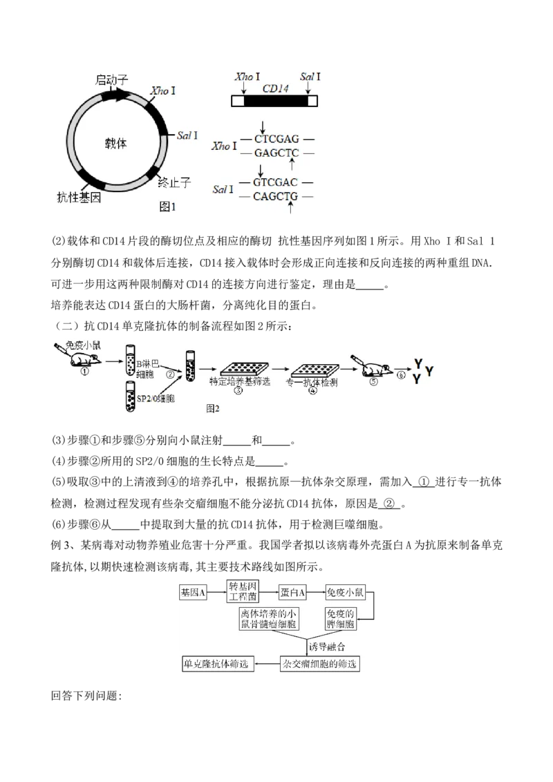 第17讲细胞工程（讲义）原卷版_2024年新高考资料_2.2024二轮复习_2024年高考生物二轮复习讲练测（新教材新高考）