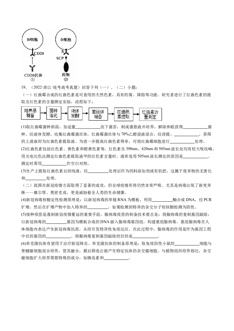 第30讲免疫失调和免疫学的应用（练习）（原卷版）_2024年新高考资料_1.2024一轮复习_2024年高考生物一轮复习讲练测（新教材新高考）