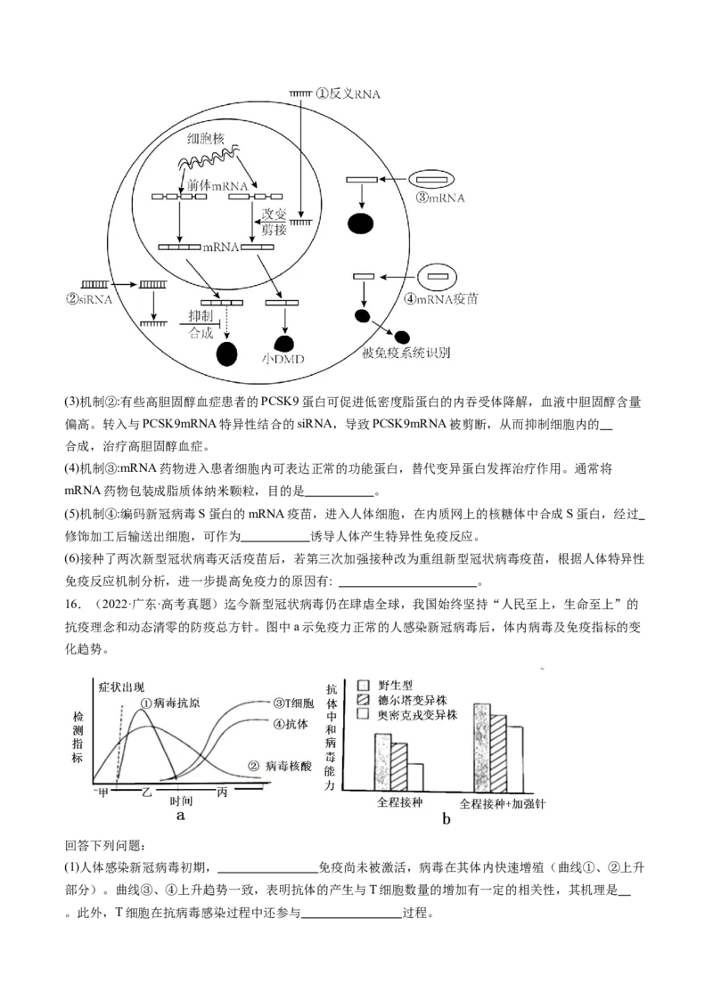 第30讲免疫失调和免疫学的应用（练习）（原卷版）_2024年新高考资料_1.2024一轮复习_2024年高考生物一轮复习讲练测（新教材新高考）