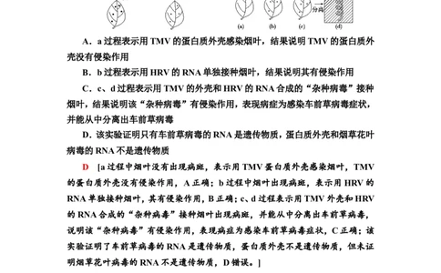[13326499]备考2023生物课时分层作业17　DNA是主要的遗传物质(含解析）_新高考复习资料_2023年新高考复习资料_专项复习_备考2023新高考生物课时分层作业