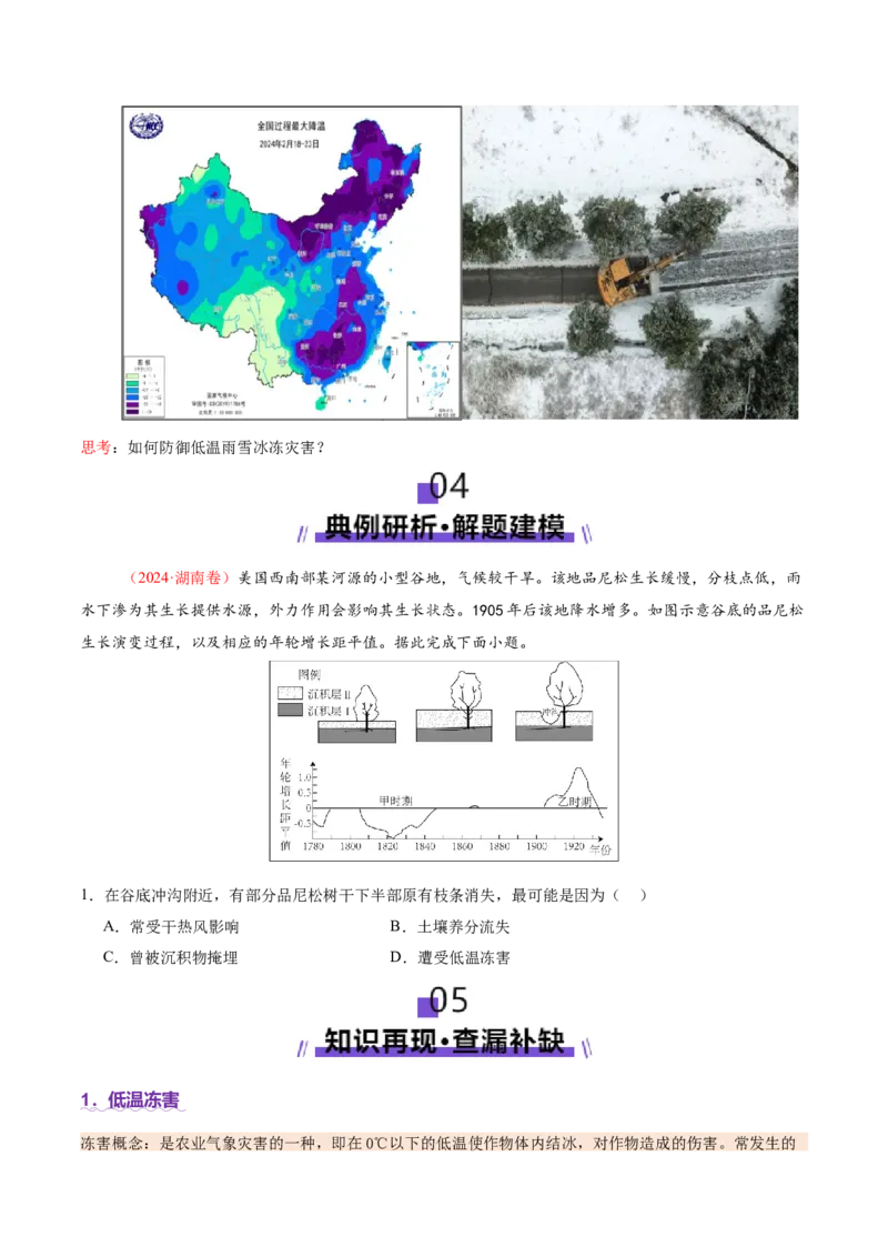 微专题冻害（寒潮、冻雨等）（讲义）（原卷版）_2025年新高考资料_二轮复习_01高考语文等多个文件_2025年高三地理高考二轮复习专项提升_二轮讲义