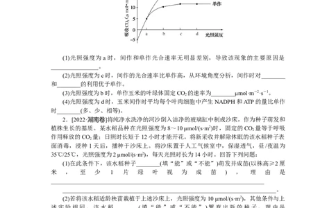 专练29　光合作用与呼吸作用综合练_新高考复习资料_2023年新高考复习资料_专项复习_2023《微专题&middot;小练习》&middot;生物&middot;新教材&middot;XL-7