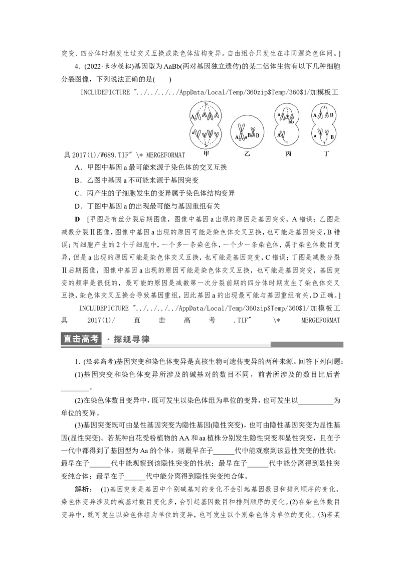 [12533094]高中生物一轮复习学案：第20讲　基因突变和基因重组_新高考复习资料_2023年新高考复习资料_一轮复习_精讲精练2023届新高考生物一轮复习学案