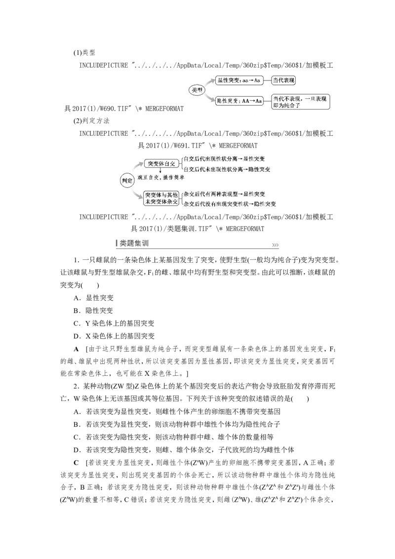 [12533094]高中生物一轮复习学案：第20讲　基因突变和基因重组_新高考复习资料_2023年新高考复习资料_一轮复习_精讲精练2023届新高考生物一轮复习学案
