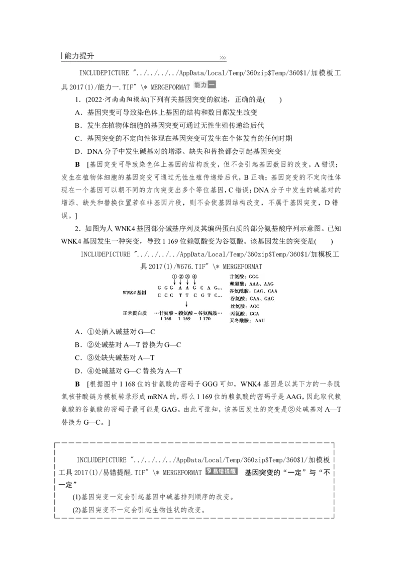 [12533094]高中生物一轮复习学案：第20讲　基因突变和基因重组_新高考复习资料_2023年新高考复习资料_一轮复习_精讲精练2023届新高考生物一轮复习学案