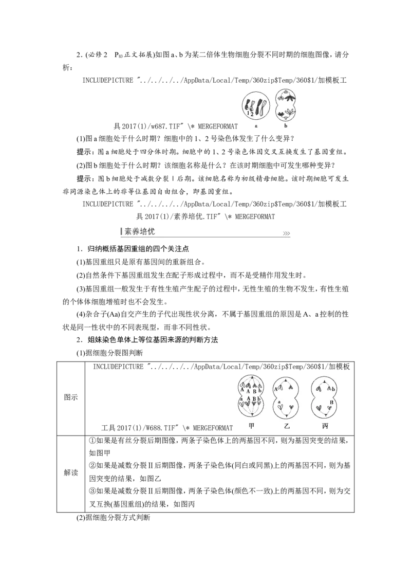 [12533094]高中生物一轮复习学案：第20讲　基因突变和基因重组_新高考复习资料_2023年新高考复习资料_一轮复习_精讲精练2023届新高考生物一轮复习学案