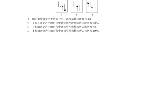 专练51　杂交育种与诱变育种_通用版（老高考）复习资料_2023年复习资料_专项复习_2023《微专题&middot;小练习》&middot;生物