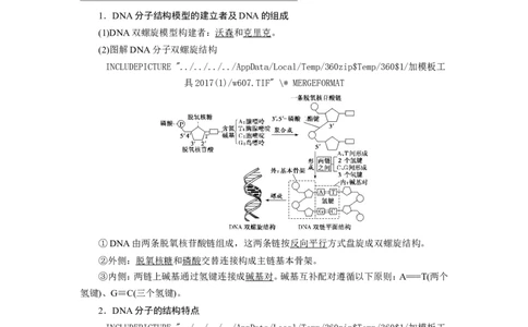 [12533092]高中生物一轮复习学案：第18讲　DNA的结构、复制和基因的本质_新高考复习资料_2023年新高考复习资料_一轮复习_精讲精练2023届新高考生物一轮复习学案