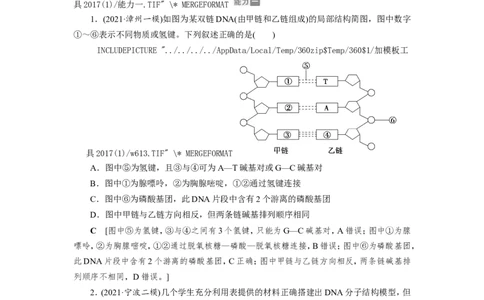 [12533092]高中生物一轮复习学案：第18讲　DNA的结构、复制和基因的本质_新高考复习资料_2023年新高考复习资料_一轮复习_精讲精练2023届新高考生物一轮复习学案