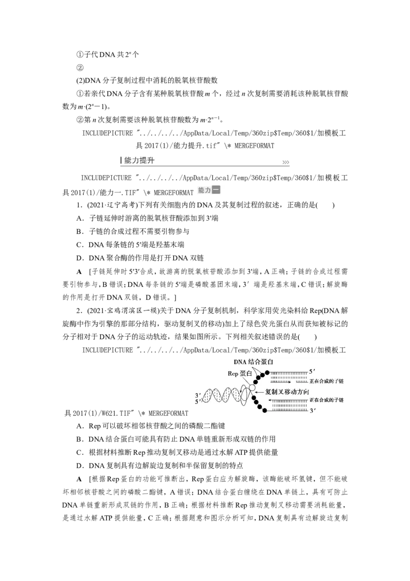 [12533092]高中生物一轮复习学案：第18讲　DNA的结构、复制和基因的本质_新高考复习资料_2023年新高考复习资料_一轮复习_精讲精练2023届新高考生物一轮复习学案