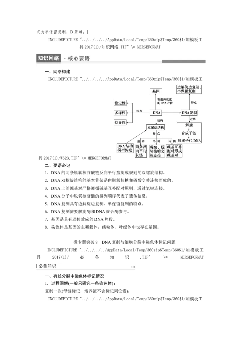 [12533092]高中生物一轮复习学案：第18讲　DNA的结构、复制和基因的本质_新高考复习资料_2023年新高考复习资料_一轮复习_精讲精练2023届新高考生物一轮复习学案