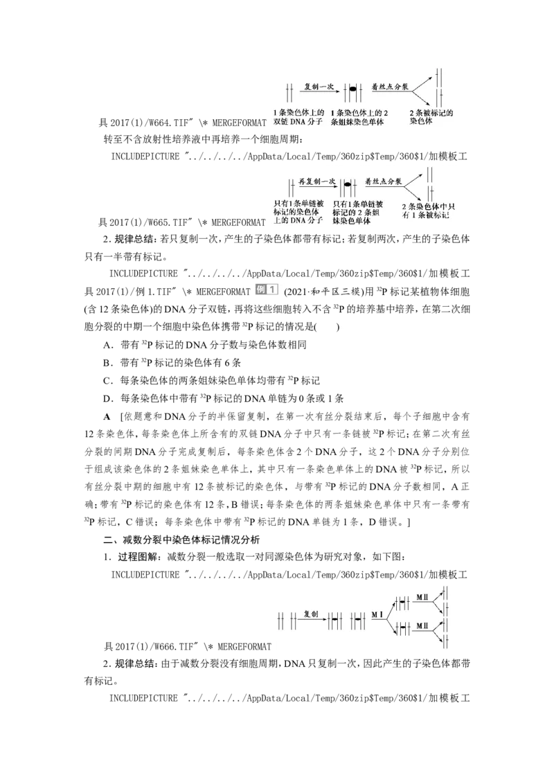 [12533092]高中生物一轮复习学案：第18讲　DNA的结构、复制和基因的本质_新高考复习资料_2023年新高考复习资料_一轮复习_精讲精练2023届新高考生物一轮复习学案