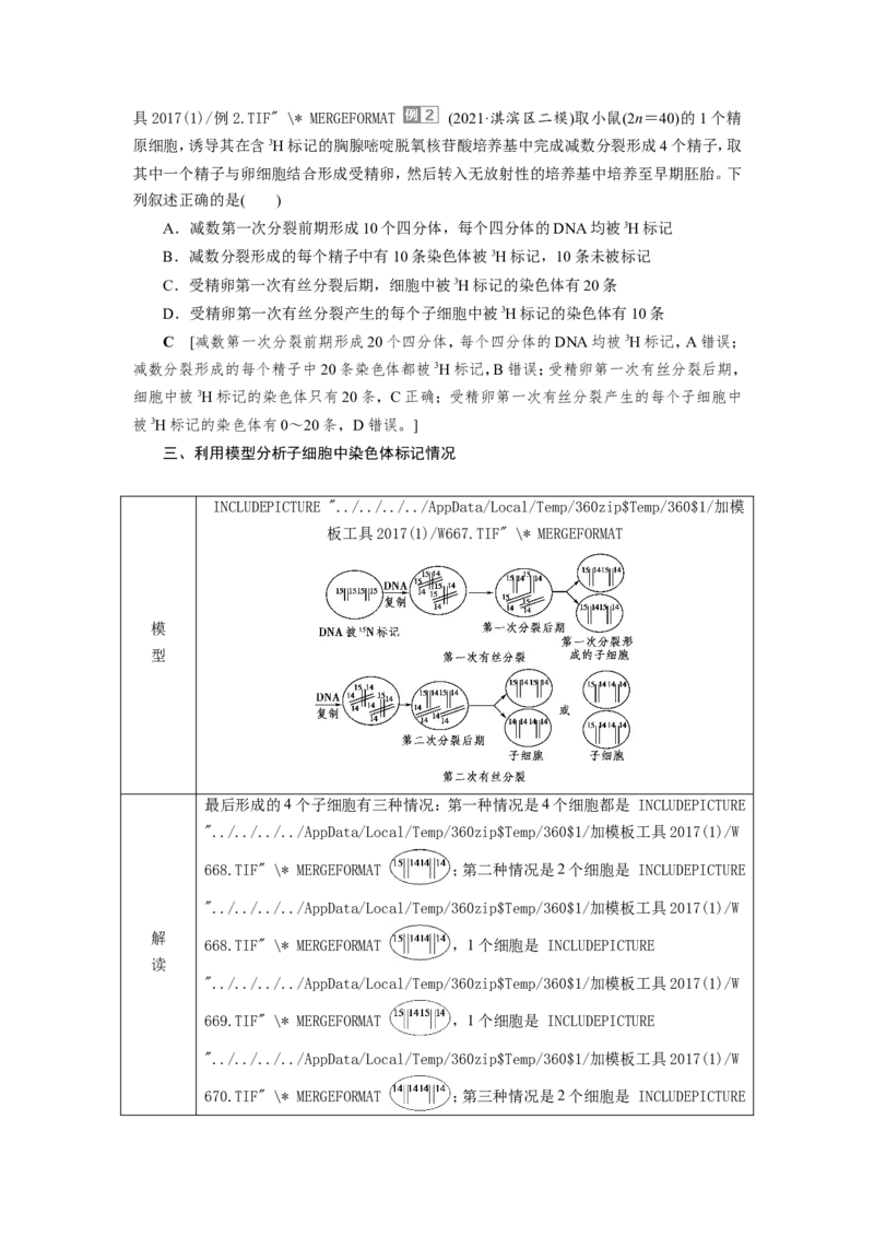 [12533092]高中生物一轮复习学案：第18讲　DNA的结构、复制和基因的本质_新高考复习资料_2023年新高考复习资料_一轮复习_精讲精练2023届新高考生物一轮复习学案