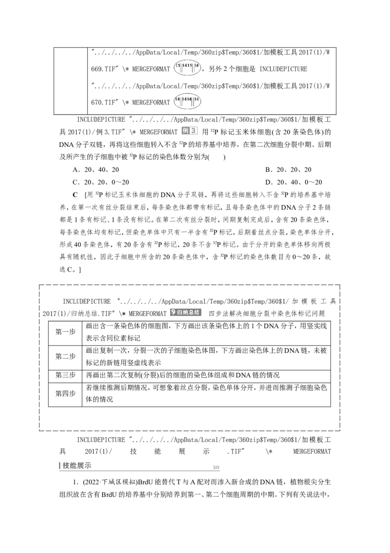 [12533092]高中生物一轮复习学案：第18讲　DNA的结构、复制和基因的本质_新高考复习资料_2023年新高考复习资料_一轮复习_精讲精练2023届新高考生物一轮复习学案