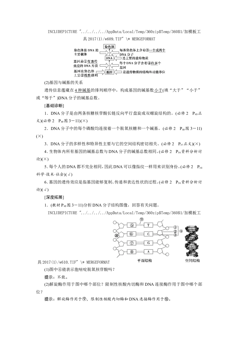 [12533092]高中生物一轮复习学案：第18讲　DNA的结构、复制和基因的本质_新高考复习资料_2023年新高考复习资料_一轮复习_精讲精练2023届新高考生物一轮复习学案