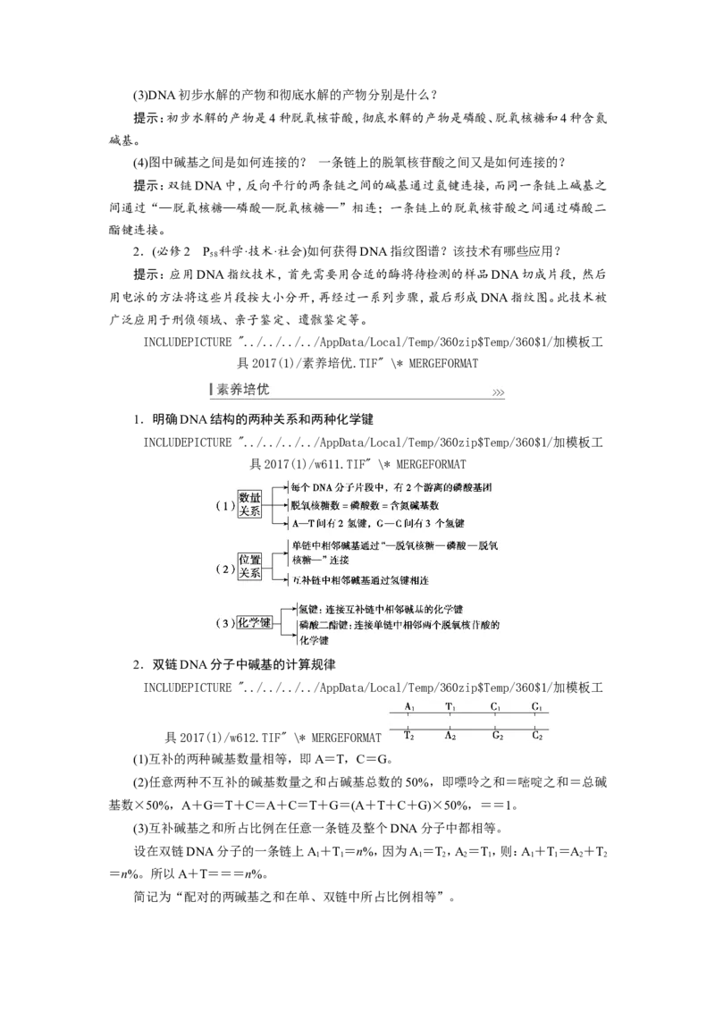 [12533092]高中生物一轮复习学案：第18讲　DNA的结构、复制和基因的本质_新高考复习资料_2023年新高考复习资料_一轮复习_精讲精练2023届新高考生物一轮复习学案