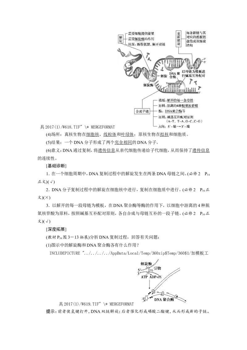 [12533092]高中生物一轮复习学案：第18讲　DNA的结构、复制和基因的本质_新高考复习资料_2023年新高考复习资料_一轮复习_精讲精练2023届新高考生物一轮复习学案