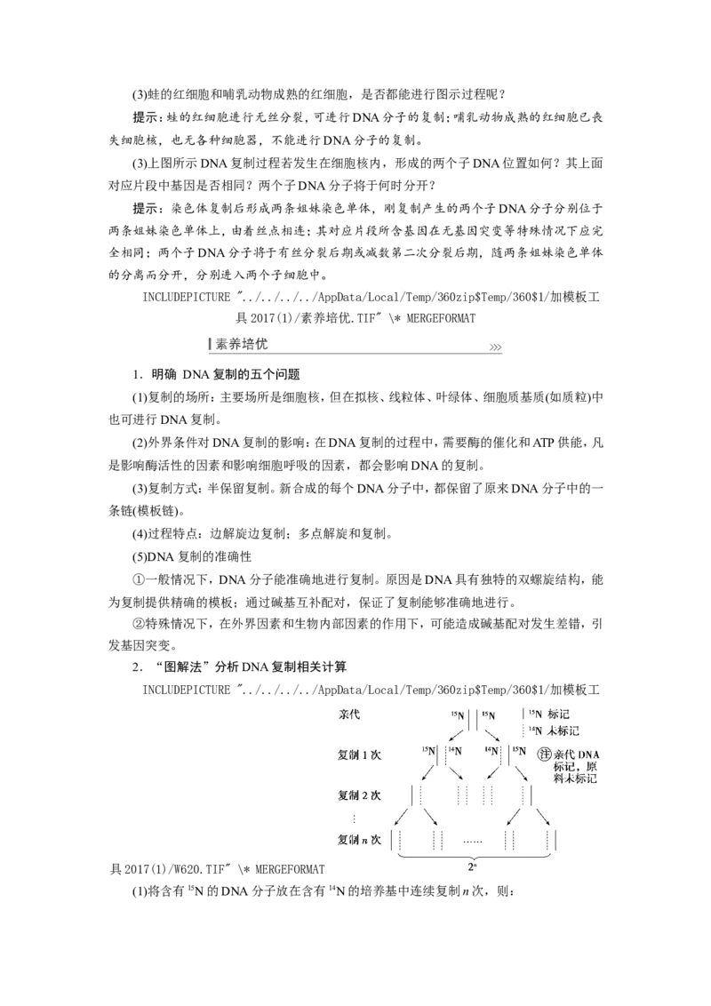 [12533092]高中生物一轮复习学案：第18讲　DNA的结构、复制和基因的本质_新高考复习资料_2023年新高考复习资料_一轮复习_精讲精练2023届新高考生物一轮复习学案