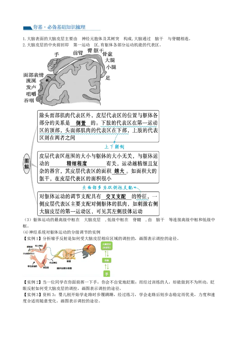 第26.1讲神经调节的结构基础、基本方式、分级调节、高级功能（讲义）（学生版）_2024年新高考资料_1.2024一轮复习_2024年高考生物一轮复习讲练测（新教材新高考）