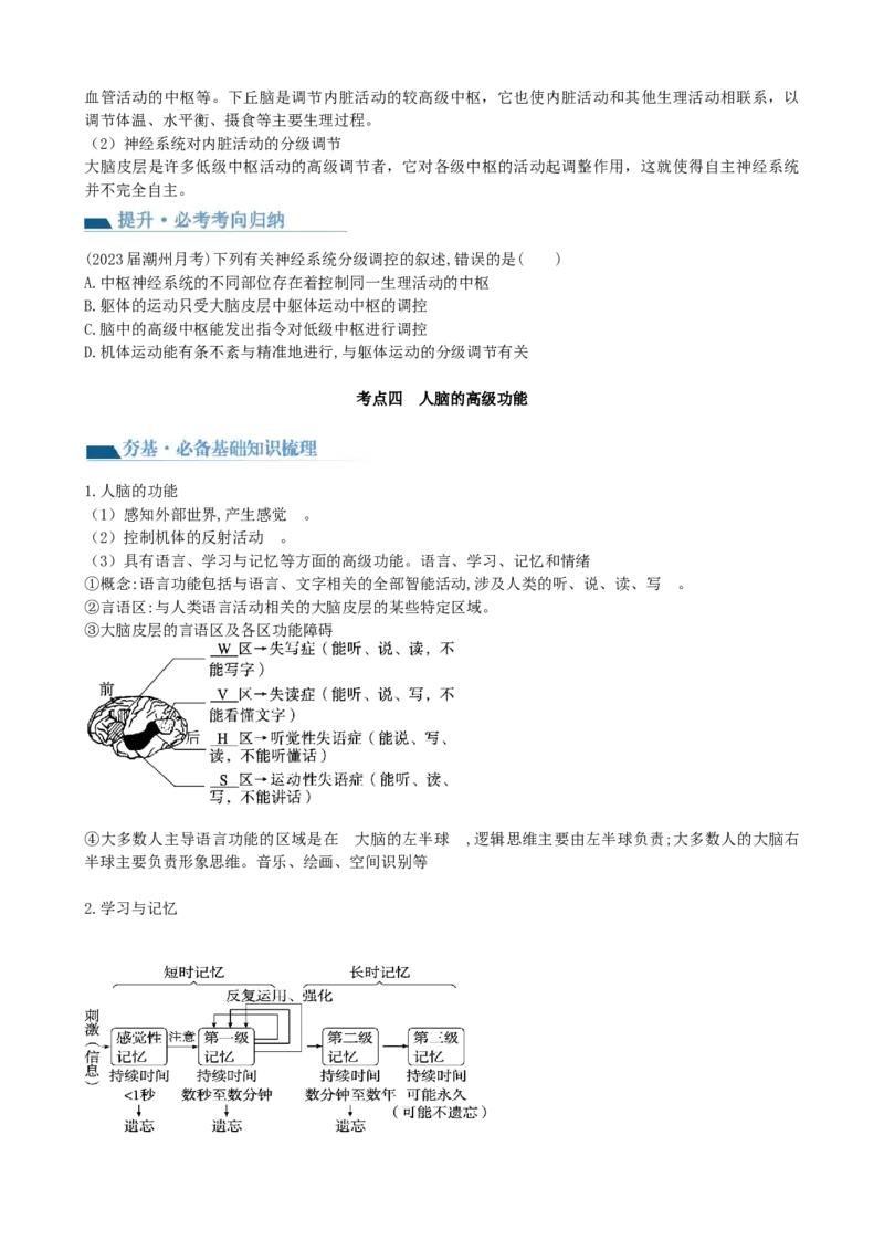 第26.1讲神经调节的结构基础、基本方式、分级调节、高级功能（讲义）（学生版）_2024年新高考资料_1.2024一轮复习_2024年高考生物一轮复习讲练测（新教材新高考）