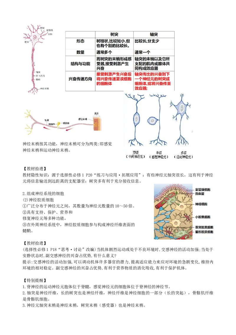第26.1讲神经调节的结构基础、基本方式、分级调节、高级功能（讲义）（学生版）_2024年新高考资料_1.2024一轮复习_2024年高考生物一轮复习讲练测（新教材新高考）