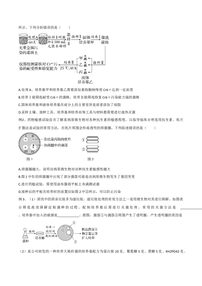 第16讲发酵工程（讲义）原卷版_2024年新高考资料_2.2024二轮复习_2024年高考生物二轮复习讲练测（新教材新高考）