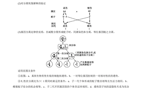 GKSW150_第13讲基因的分离定律-备战2022年高考生物一轮复习精品讲义（人教版）(解析版)_新高考复习资料_2022年新高考复习资料_备战2022新高考生物一轮复习精品讲义（人教版）