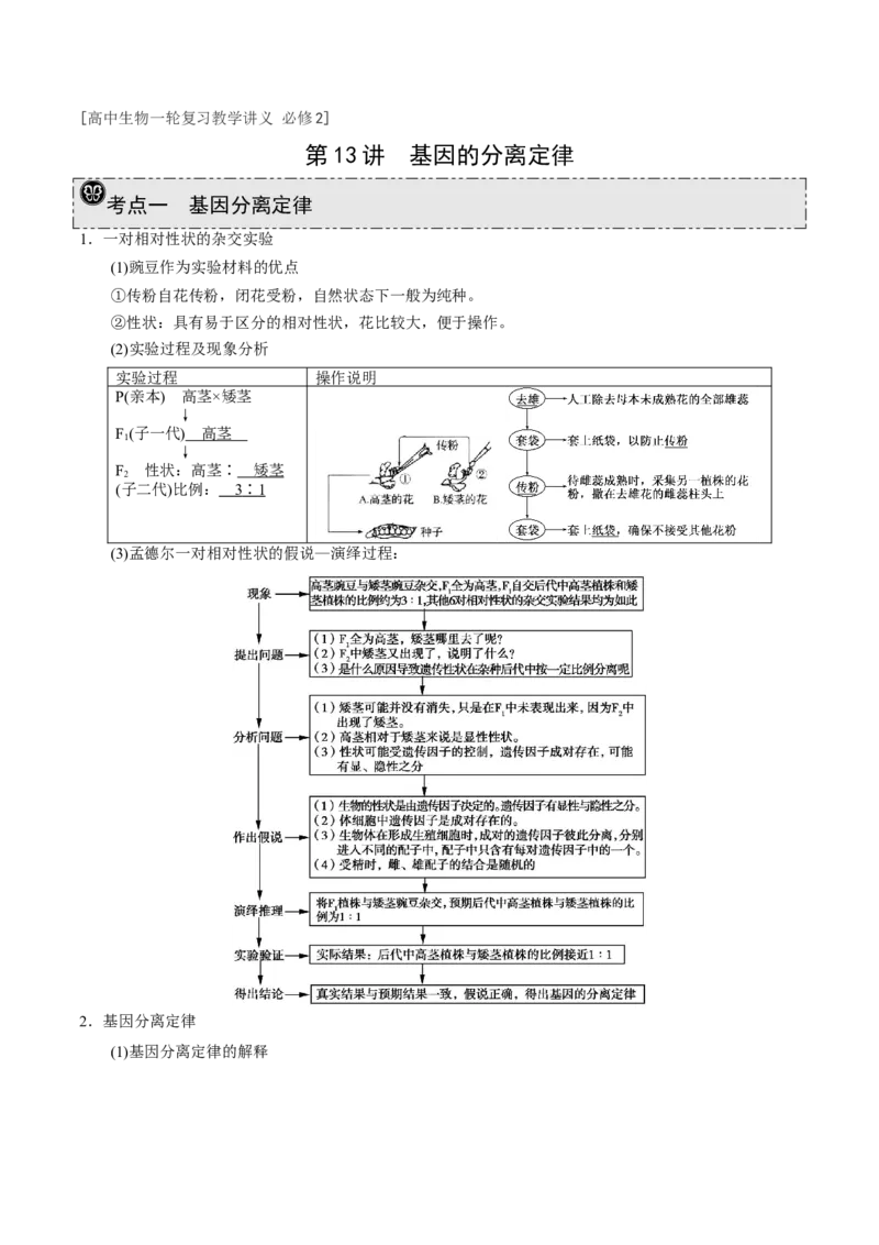 GKSW150_第13讲基因的分离定律-备战2022年高考生物一轮复习精品讲义（人教版）(解析版)_新高考复习资料_2022年新高考复习资料_备战2022新高考生物一轮复习精品讲义（人教版）