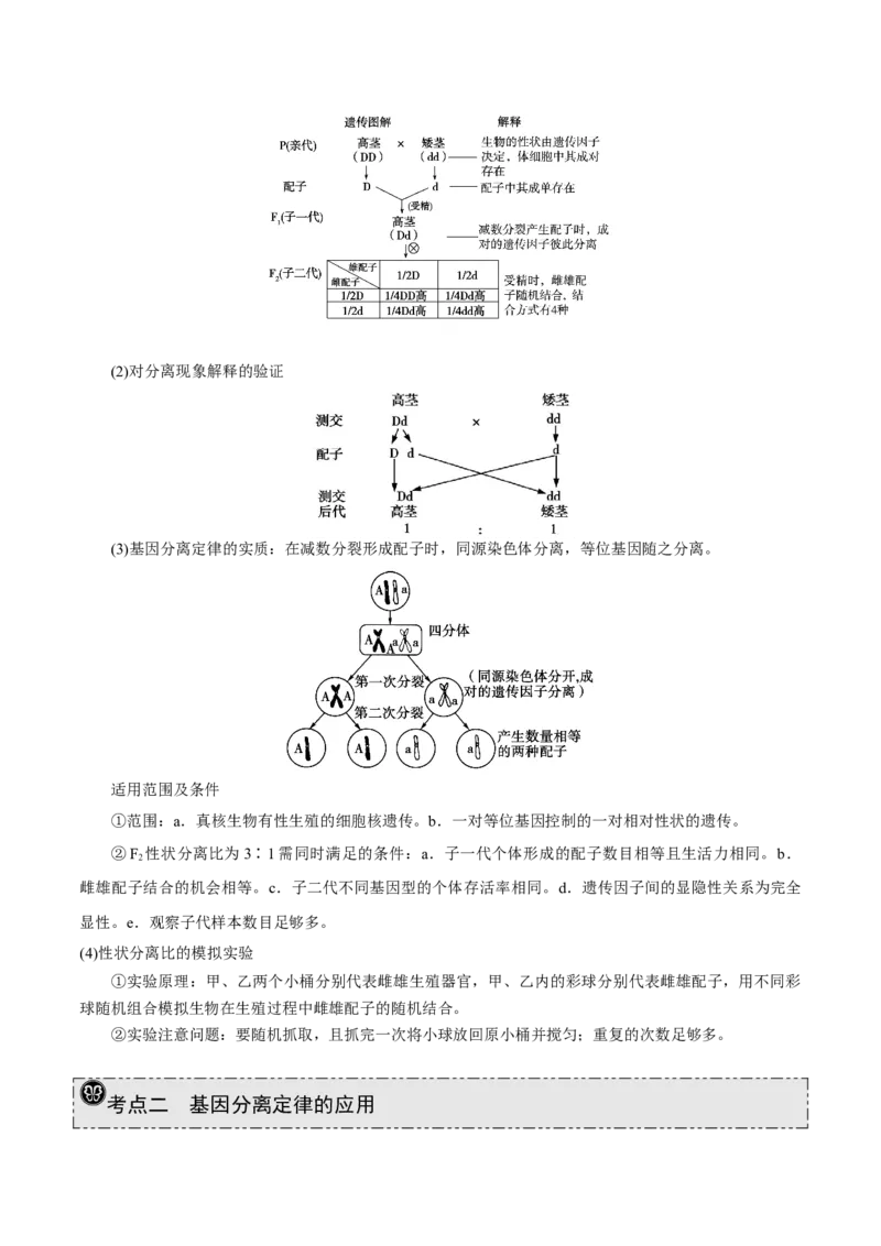 GKSW150_第13讲基因的分离定律-备战2022年高考生物一轮复习精品讲义（人教版）(解析版)_新高考复习资料_2022年新高考复习资料_备战2022新高考生物一轮复习精品讲义（人教版）