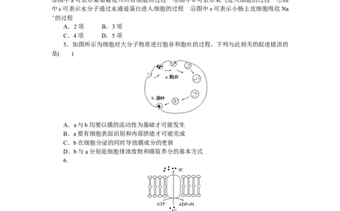 专练14　物质跨膜运输方式的图表解读_通用版（老高考）复习资料_2023年复习资料_专项复习_2023《微专题&middot;小练习》&middot;生物