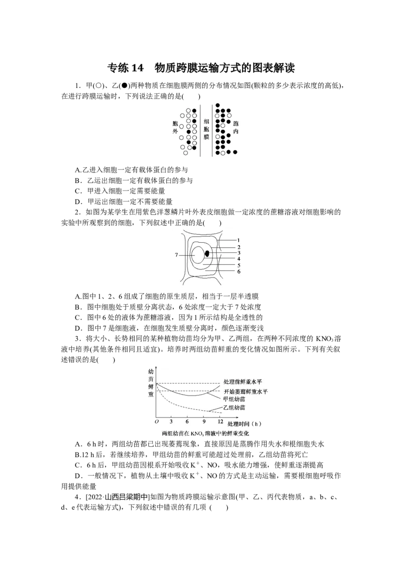 专练14　物质跨膜运输方式的图表解读_通用版（老高考）复习资料_2023年复习资料_专项复习_2023《微专题&middot;小练习》&middot;生物