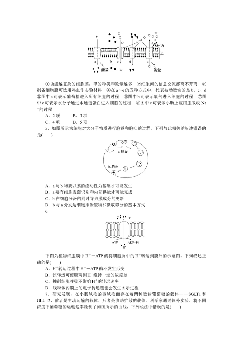 专练14　物质跨膜运输方式的图表解读_通用版（老高考）复习资料_2023年复习资料_专项复习_2023《微专题&middot;小练习》&middot;生物