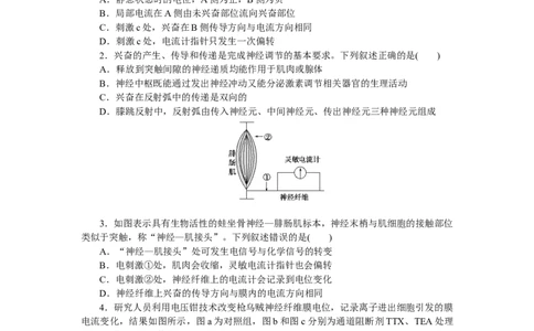 专练59　神经调节(兴奋在神经纤维上的传导)_通用版（老高考）复习资料_2023年复习资料_专项复习_2023《微专题&middot;小练习》&middot;生物