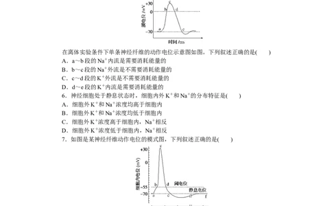 专练59　神经调节(兴奋在神经纤维上的传导)_通用版（老高考）复习资料_2023年复习资料_专项复习_2023《微专题&middot;小练习》&middot;生物