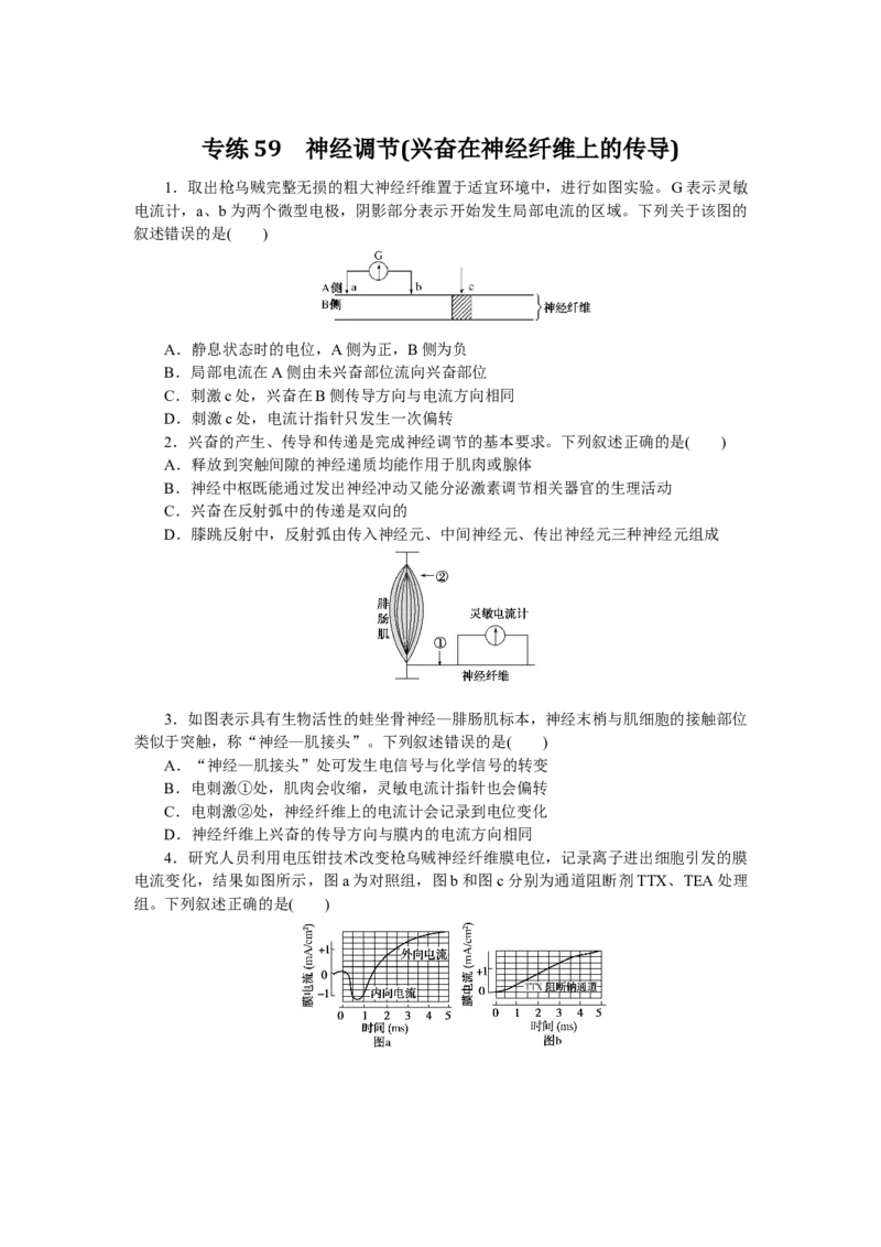 专练59　神经调节(兴奋在神经纤维上的传导)_通用版（老高考）复习资料_2023年复习资料_专项复习_2023《微专题&middot;小练习》&middot;生物