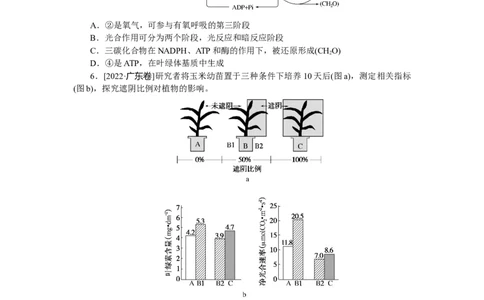 专练28　光合作用的图像分析_新高考复习资料_2023年新高考复习资料_专项复习_2023《微专题&middot;小练习》&middot;生物&middot;新教材&middot;XL-7