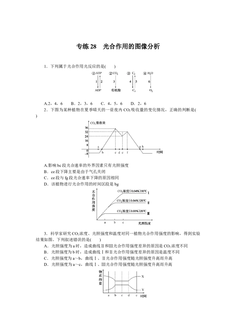 专练28　光合作用的图像分析_新高考复习资料_2023年新高考复习资料_专项复习_2023《微专题&middot;小练习》&middot;生物&middot;新教材&middot;XL-7