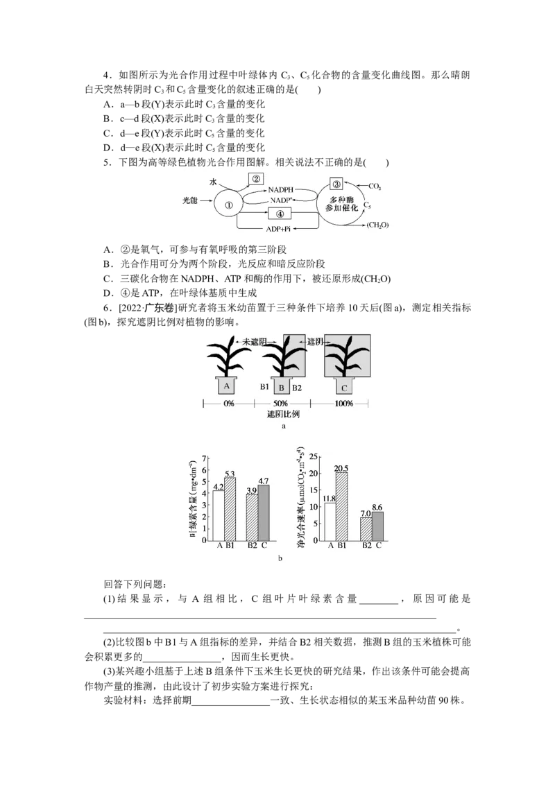 专练28　光合作用的图像分析_新高考复习资料_2023年新高考复习资料_专项复习_2023《微专题&middot;小练习》&middot;生物&middot;新教材&middot;XL-7