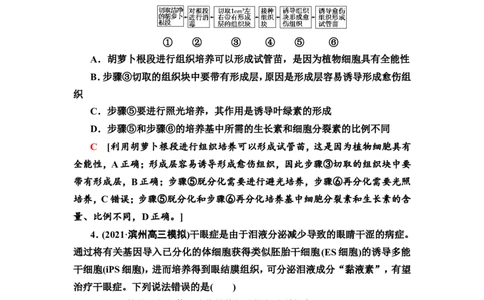 [13326533]备考2023生物课时分层作业37　细胞工程(含解析）_新高考复习资料_2023年新高考复习资料_专项复习_备考2023新高考生物课时分层作业