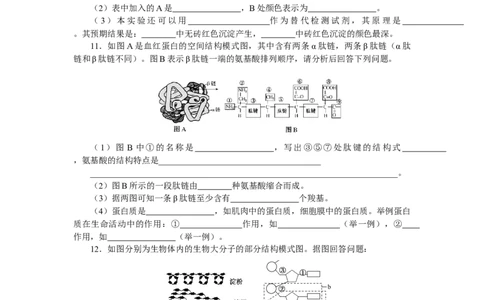 专练88　组成细胞的分子综合练_通用版（老高考）复习资料_2023年复习资料_专项复习_2023《微专题&middot;小练习》&middot;生物