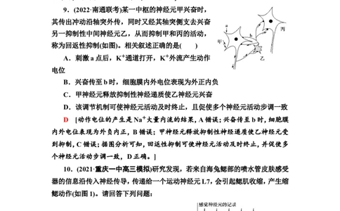 [13326513]备考2023生物课时分层作业26　神经冲动的产生和传导、神经系统的分级调节及人脑的高级功能(含解析）_新高考复习资料_2023年新高考复习资料_专项复习