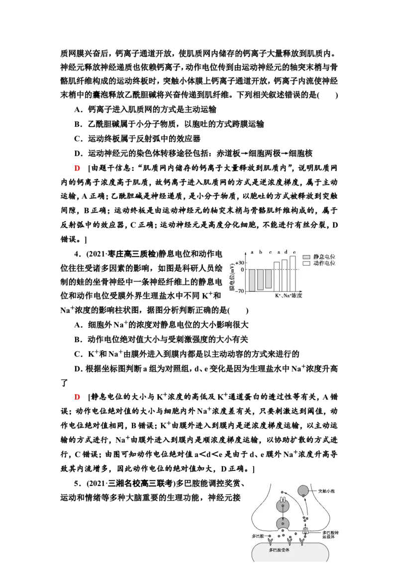 [13326513]备考2023生物课时分层作业26　神经冲动的产生和传导、神经系统的分级调节及人脑的高级功能(含解析）_新高考复习资料_2023年新高考复习资料_专项复习
