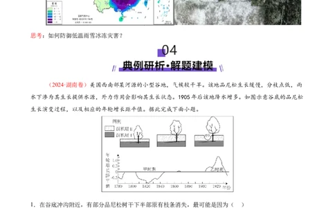 微专题冻害（寒潮、冻雨等）（讲义）（原卷版）_2025年新高考资料_二轮复习_01高考语文等多个文件_上好课2025年高考地理二轮复习讲练测（新高考通用）_第一部分专题突破